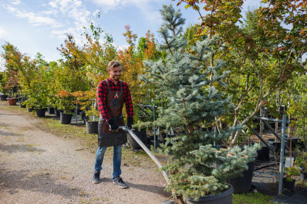 Soil Testing and Treatment in Dell Rapids, SD